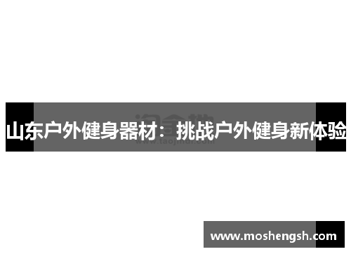 山东户外健身器材：挑战户外健身新体验